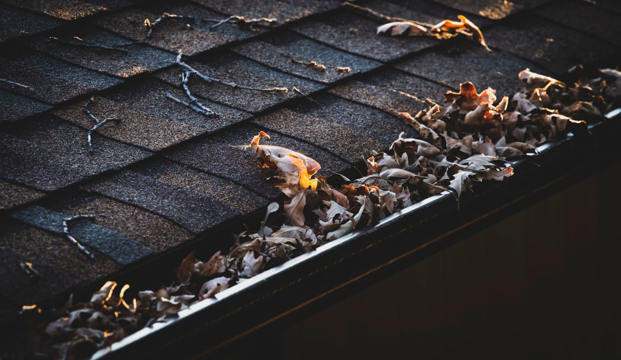 gutters cleaning tips